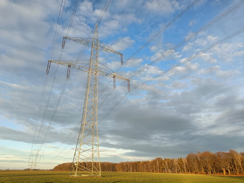 Tragmast bei Rossau in Sachsen